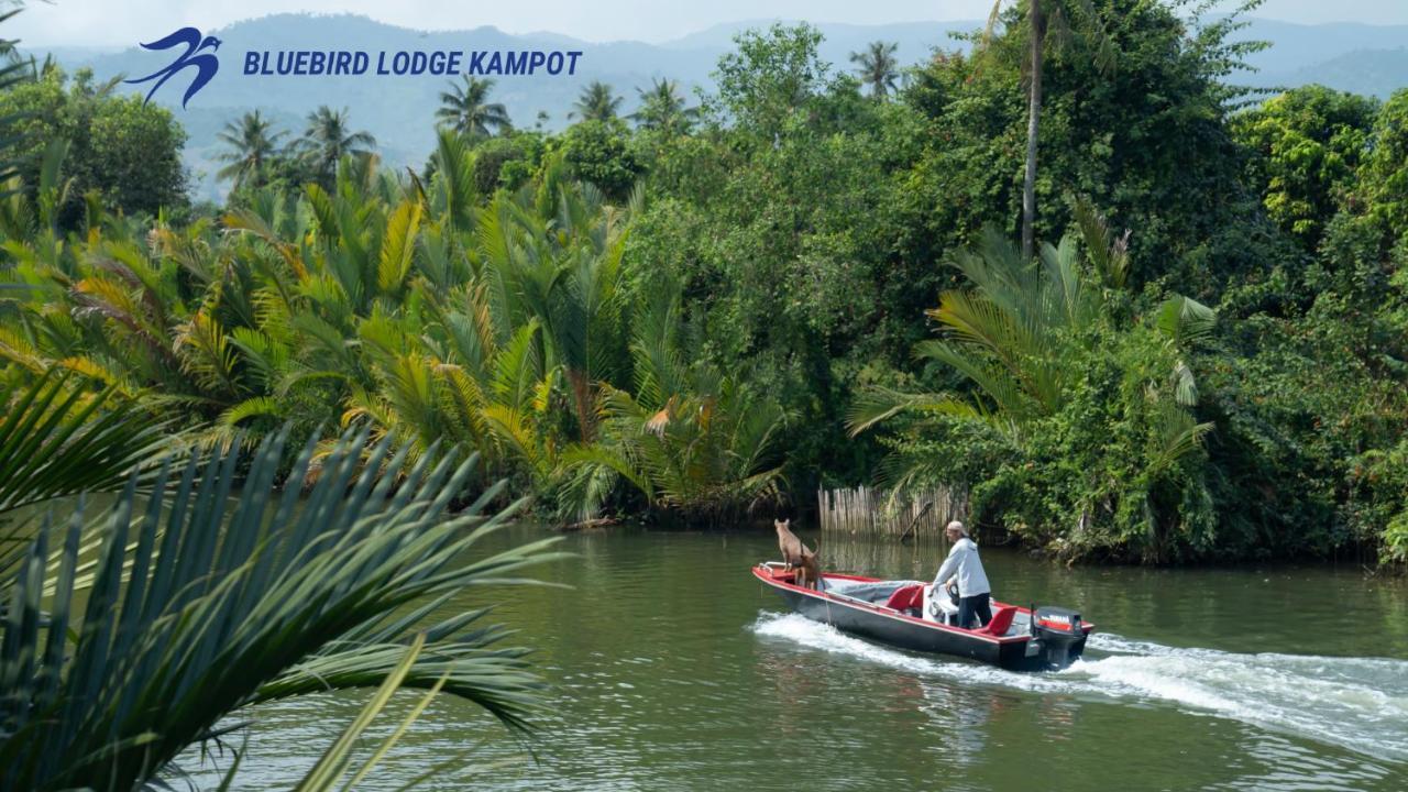 Bluebird Lodge カンポット エクステリア 写真